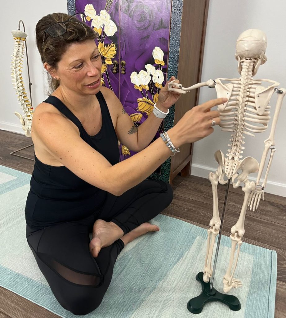 Skeletal system anatomy explained by Carolyn Hitchcock from The Gravity Technique